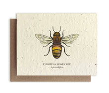  Honey Bee Plantable Wildflower Seed Card