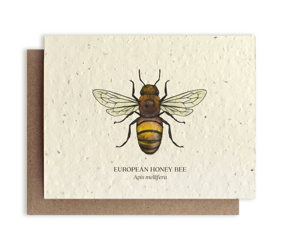 Honey Bee Plantable Wildflower Seed Card