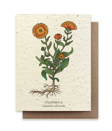  Calendula Plantable Wildflower Seed Card