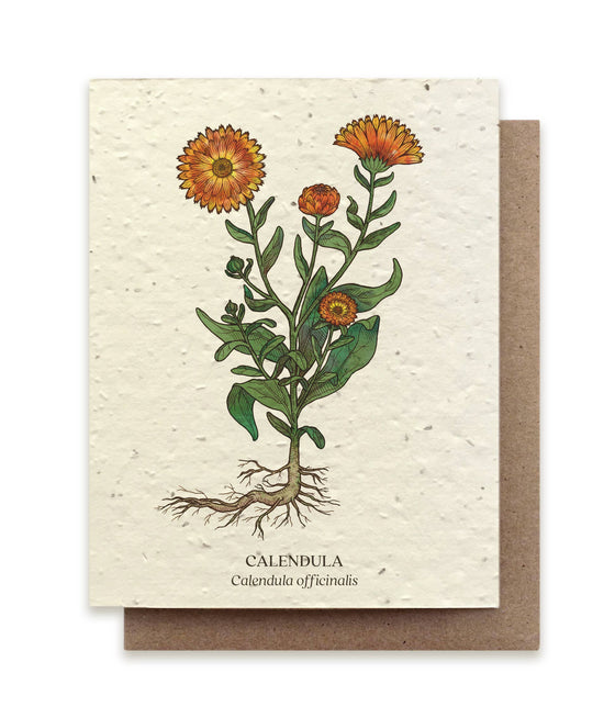 Calendula Plantable Wildflower Seed Card