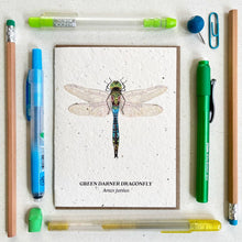  Green Darner Dragonfly Plantable Wildflower Seed Card: Glassine Sleeves