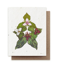  Trillium Compass Plantable Herb Seed Card