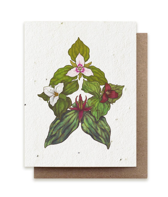 Trillium Compass Plantable Herb Seed Card