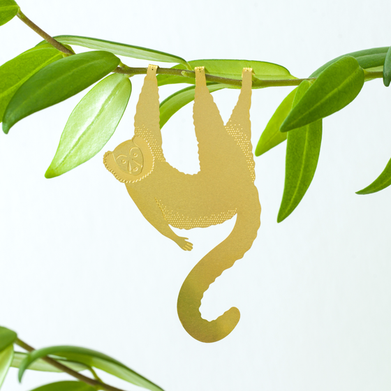 Plant Animal - Lemur, house plant charm