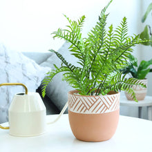  5.5" Clay White Modern Pot, Decorative Terracotta Planter