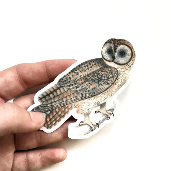 Vintage Owl Sticker