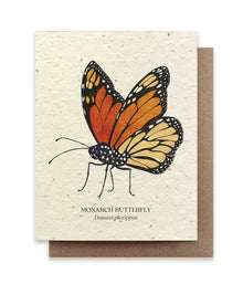  Monarch Butterfly Plantable Wildflower Seed Card