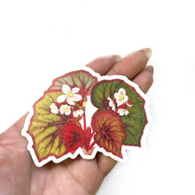  Begonia Vinyl Plant Sticker