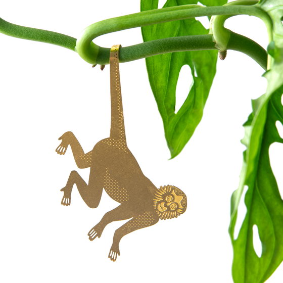 Plant Animal - Spider Monkey, fun house plant gift