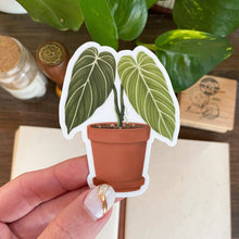  Philodendron Melanochrysum Sticker