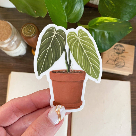 Philodendron Melanochrysum Sticker