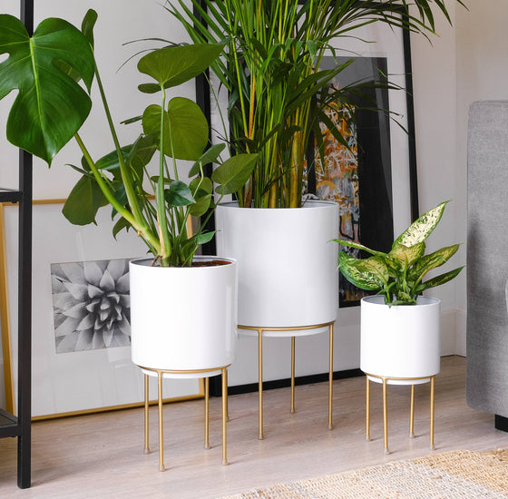 White Planters - Mid Century with Gold Metal Stand