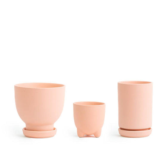 Plant Junkie Set - Blush