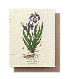  Blue Flag Iris Plantable Wildflower Seed Card