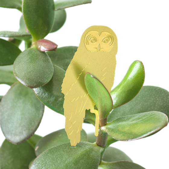 Plant Animal - Owl, botanical house plant accessory