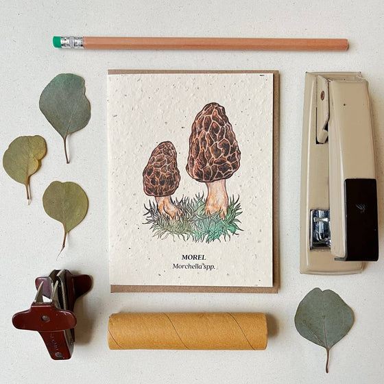 Morel Mushroom Plantable Wildflower Seed Card: Glassine Sleeves Leaf & Moss Morel Mushroom Plantable Wildflower Seed Card: Glassine Sleeves Leaf & Moss